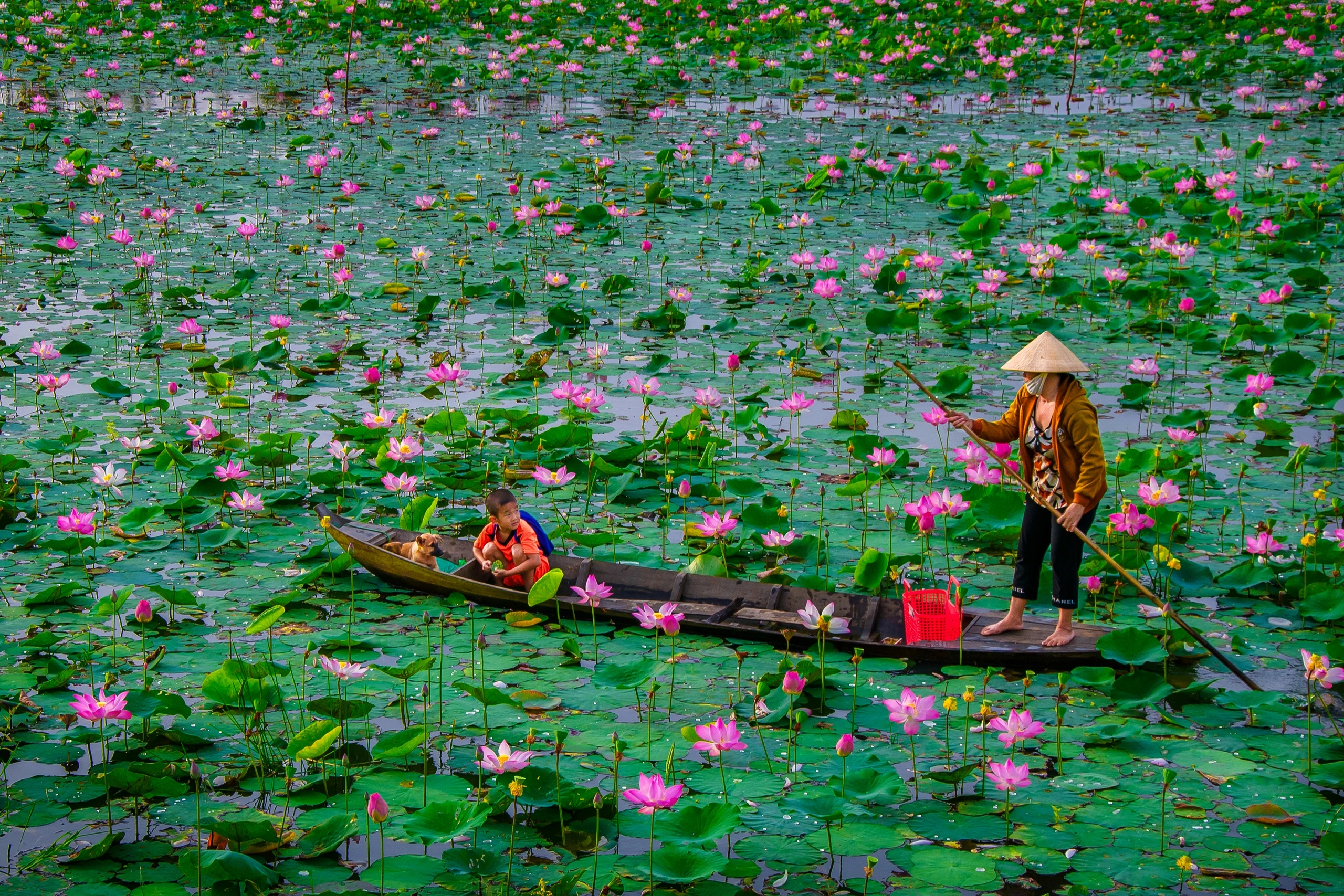 Giới thiệu Đồng Tháp