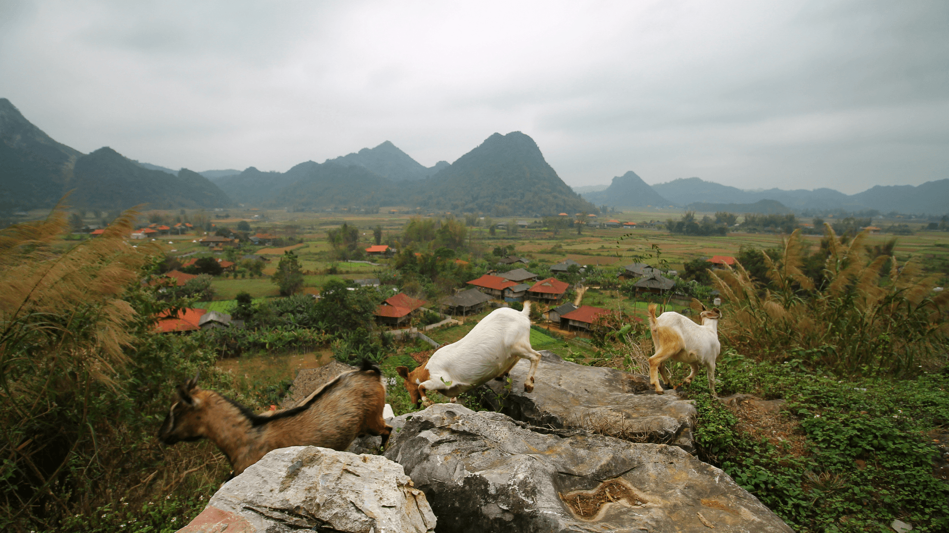 Giới thiệu Lạng Sơn