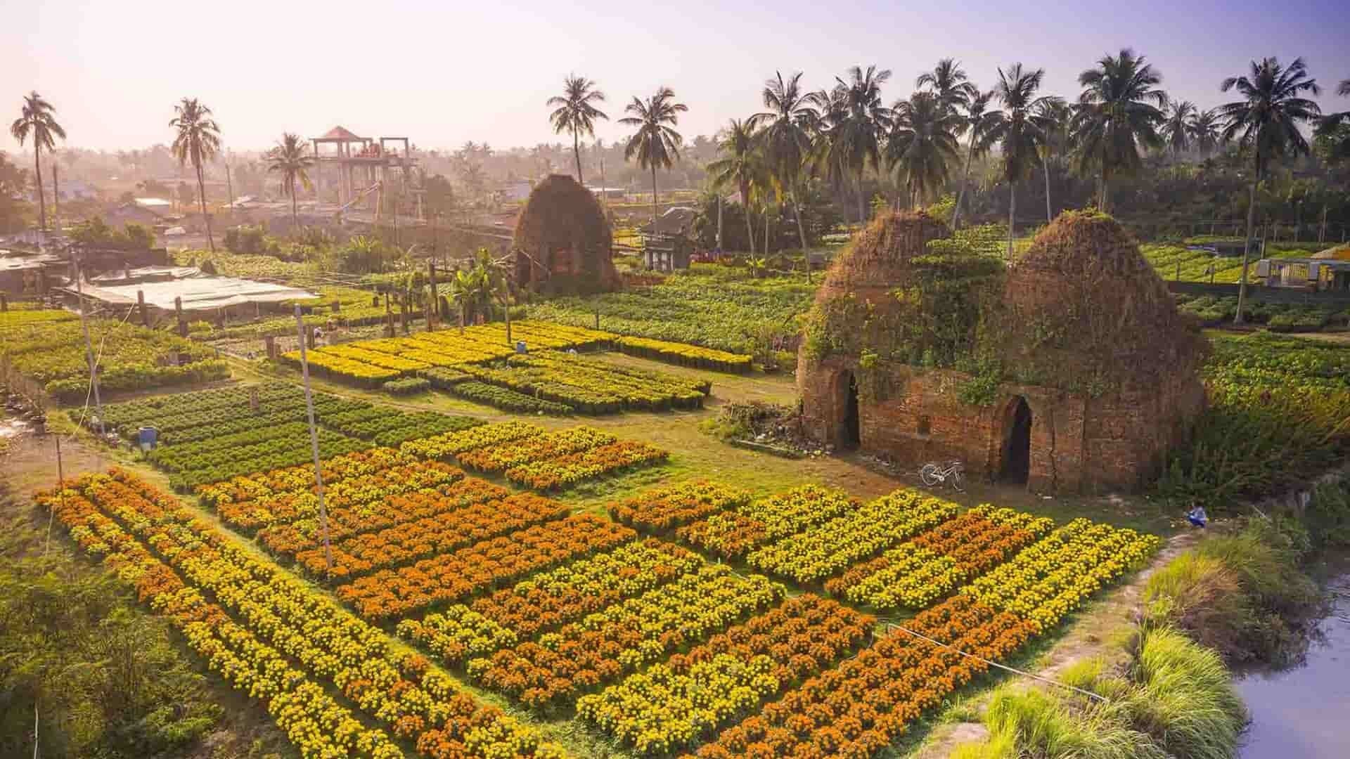 Khí Hậu Đồng Tháp